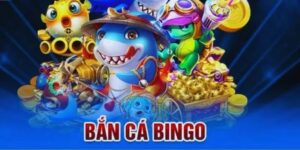 Bảo mật và hỗ trợ khi chơi bắn cá bingo tại Fun88
