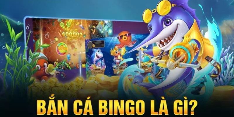 Bắn Cá Bingo Giới thiệu về bắn cá bingo