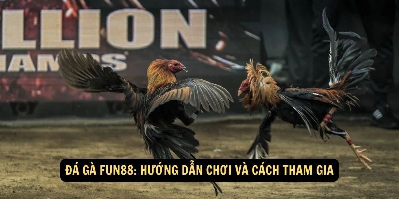 Hướng dẫn cách tham gia đá gà Fun88 hiệu quả