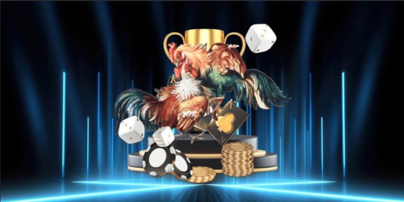 Những lợi ích khi tham gia đá gà Fun88